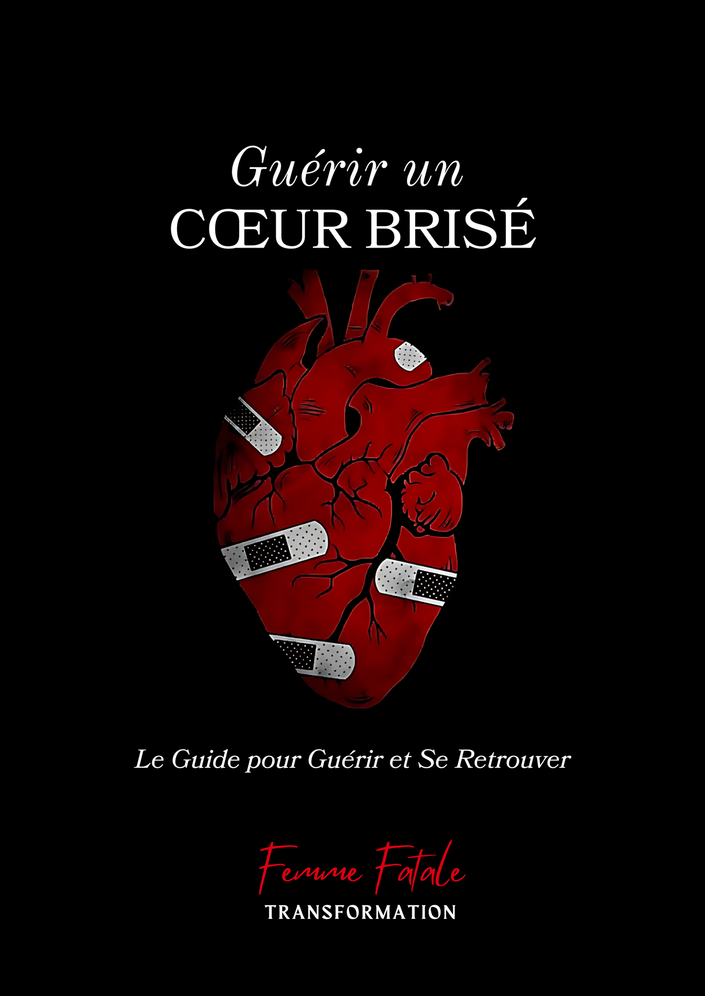 Guérir un Cœur Brisé : Le Guide pour Guérir et se Retrouver